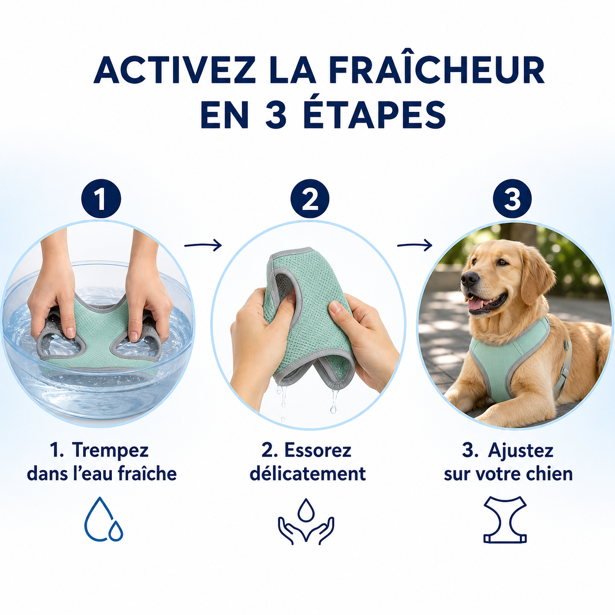 Veste-Harnais Rafraîchissante CoolPaws™ – Anti-Canicule pour Chien