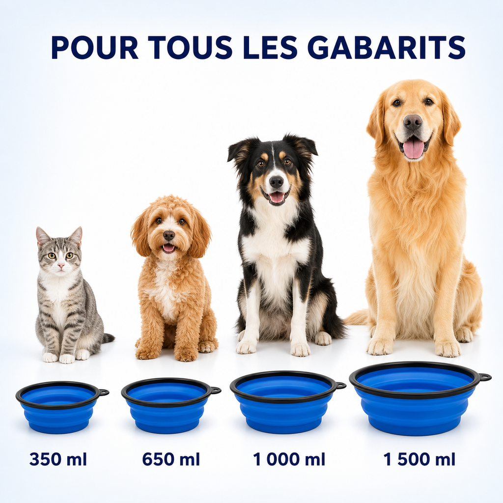 Gamelle Pliable de Voyage CoolPaws™ – Chien & Chat