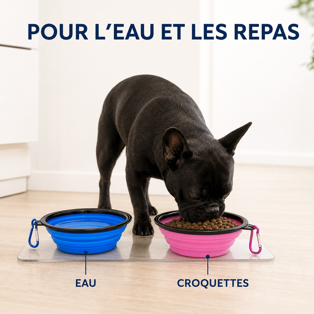 Gamelle Pliable de Voyage CoolPaws™ – Chien & Chat