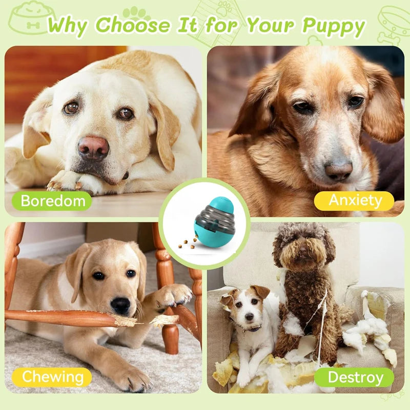 Jouet distributeur de friandises interactif – Chien & Chat