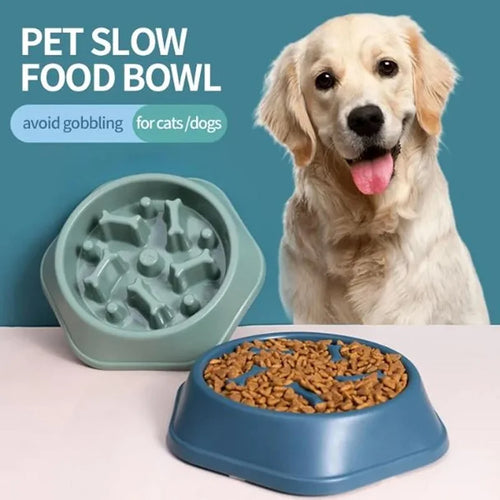 Gamelle anti-glouton pour chien & chat – Mangeoire ludique