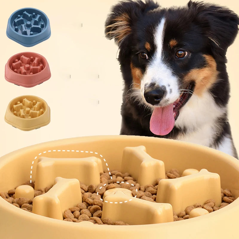 Gamelle anti-glouton pour chien & chat – Mangeoire ludique