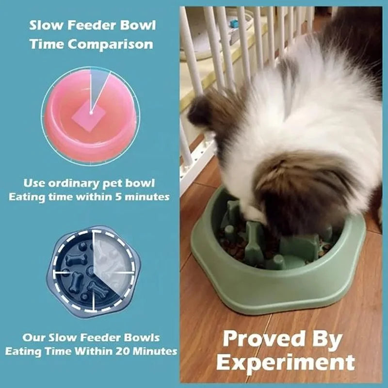 Gamelle anti-glouton pour chien & chat – Mangeoire ludique