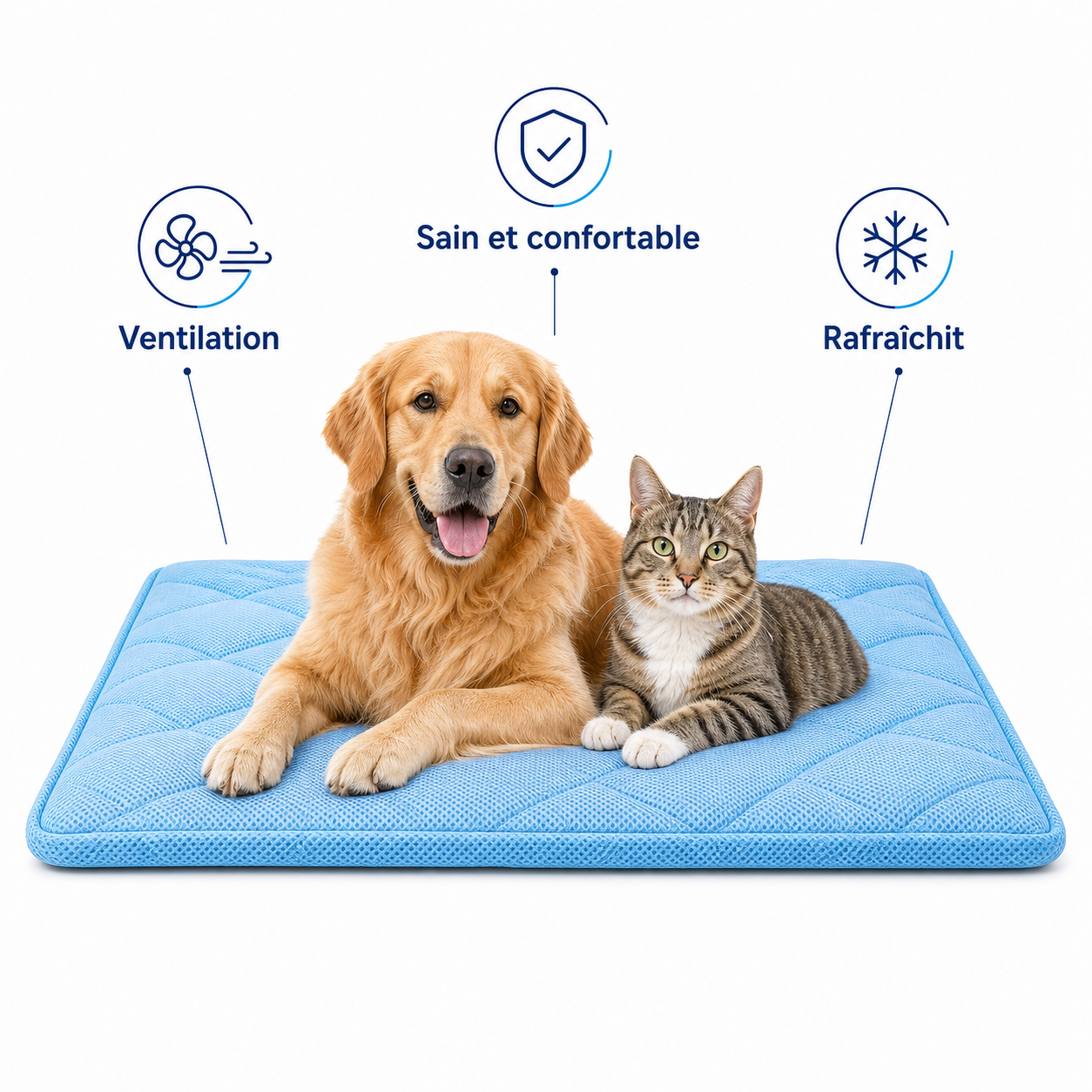 Tapis Rafraîchissant CoolPaws™ – Chien & Chat