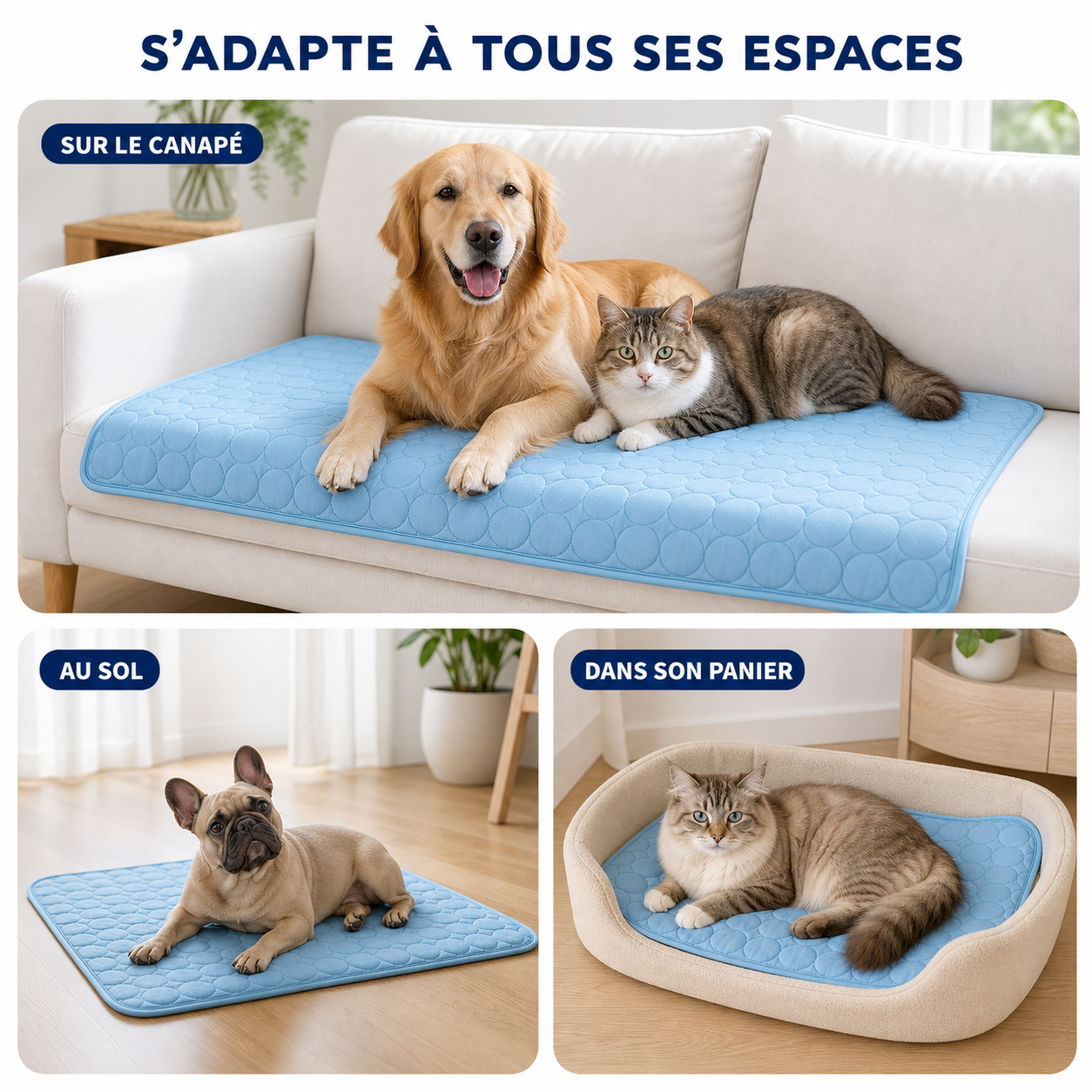 Tapis Rafraîchissant CoolPaws™ – Chien & Chat