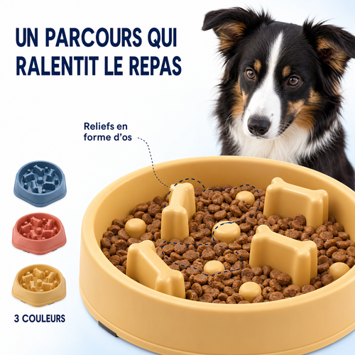 Gamelle anti-glouton pour chien & chat – Mangeoire ludique